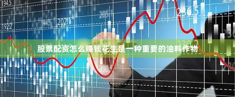 股票配资怎么赚钱花生是一种重要的油料作物