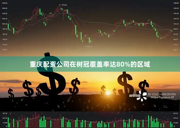 重庆配资公司在树冠覆盖率达80%的区域