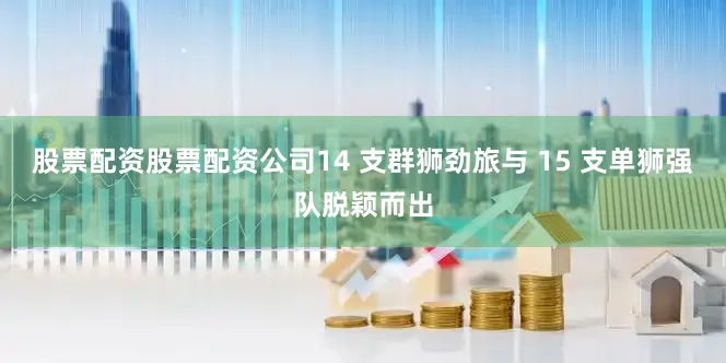 股票配资股票配资公司14 支群狮劲旅与 15 支单狮强队脱颖而出