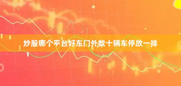 炒股哪个平台好东门外数十辆车停放一排