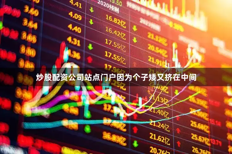 炒股配资公司站点门户因为个子矮又挤在中间